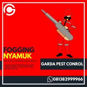Fogging Nyamuk di Cikarang Selatan