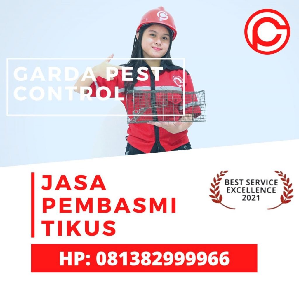 Jasa Pembasmi Tikus Murah Jogja