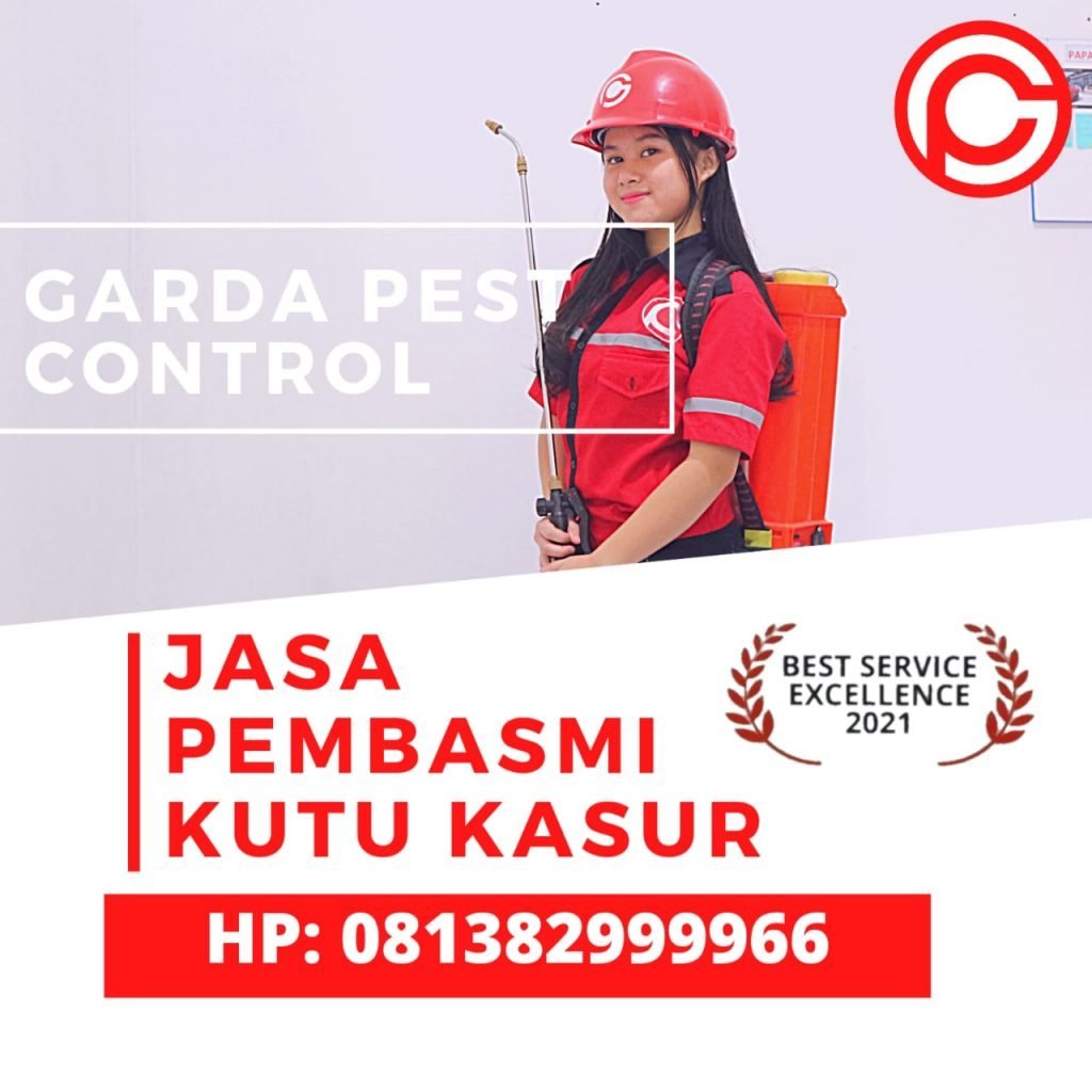 Jasa Pembasmi Tinggi di Solo
