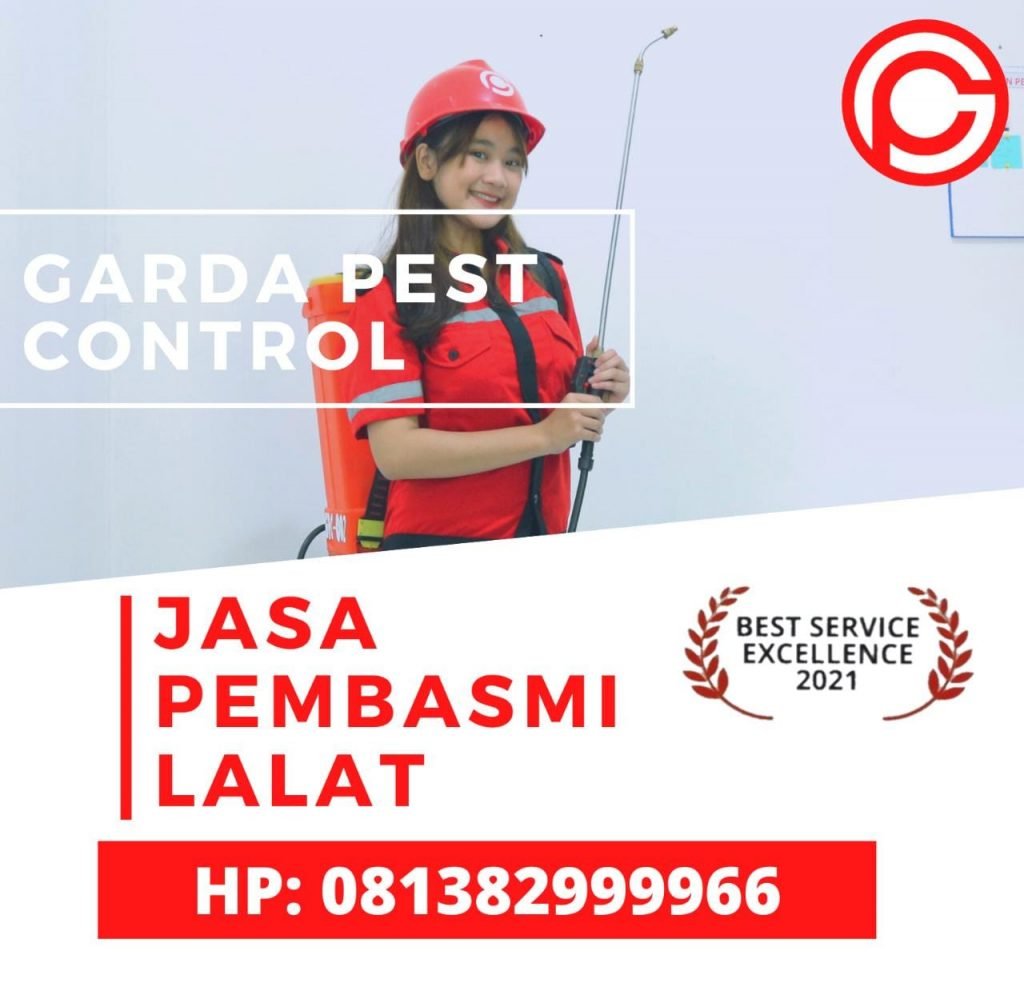 Jasa Pembasmi Lalat Bandung