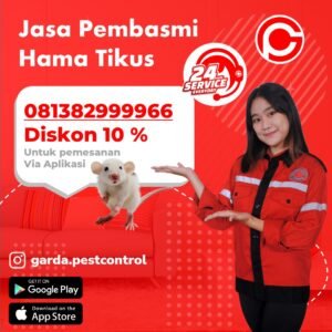 Jasa Pembersih Tikus Jogja Kota