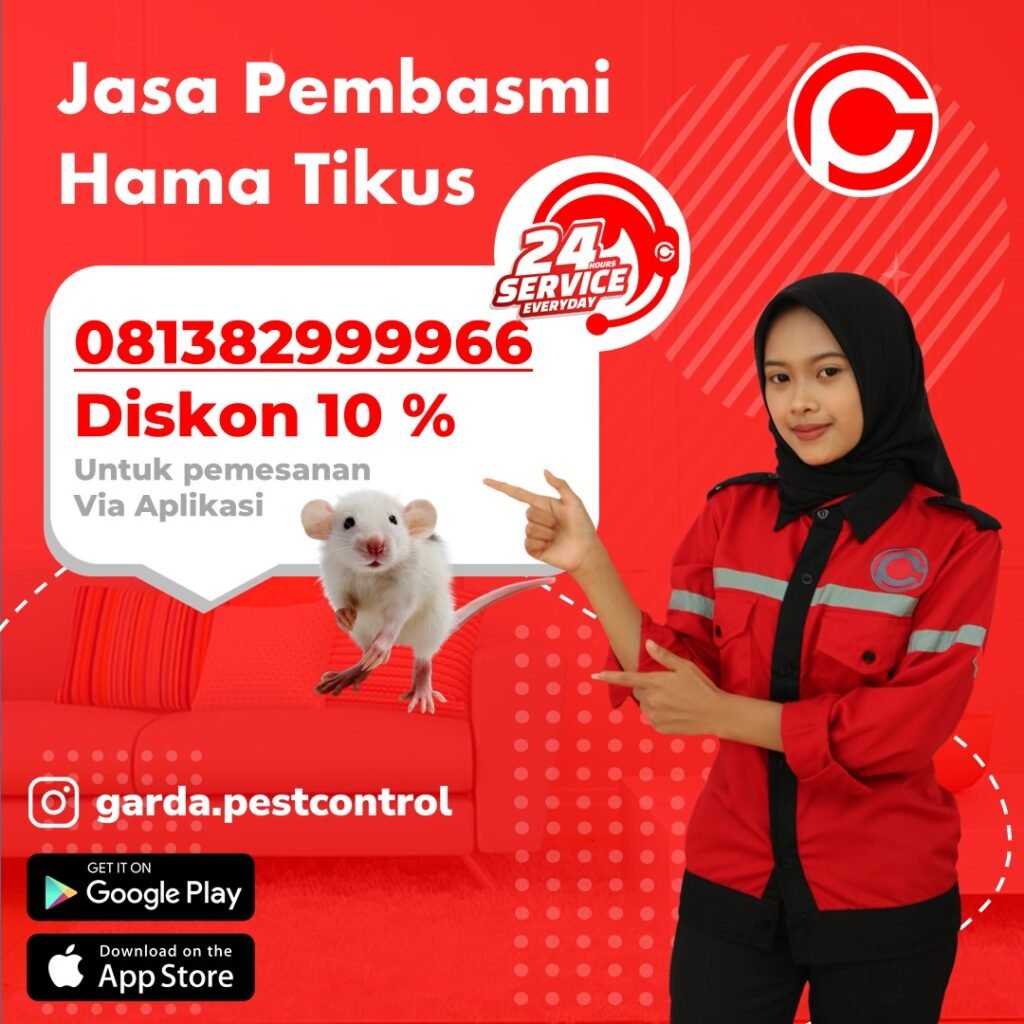 Jasa Basmi Tikus Jogja