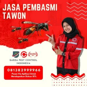 Jasa Pembasmi Tawon di Bekasi