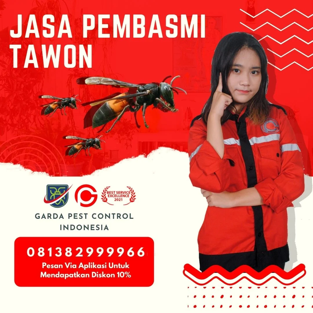 Jasa Pengusir Tawon Bandung
