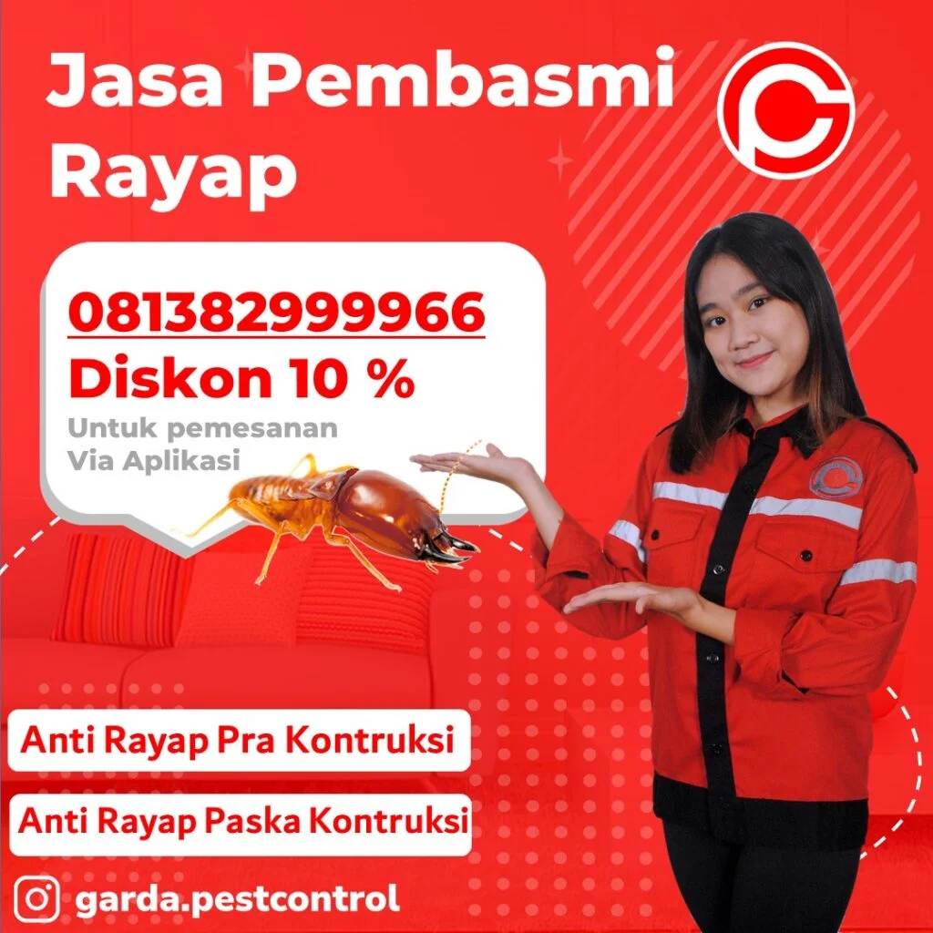 Jasa Anti Rayap Yogyakarta