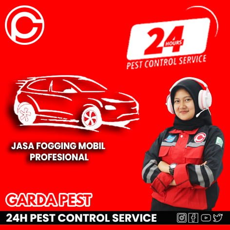 Jasa Fogging Mobil Jogja