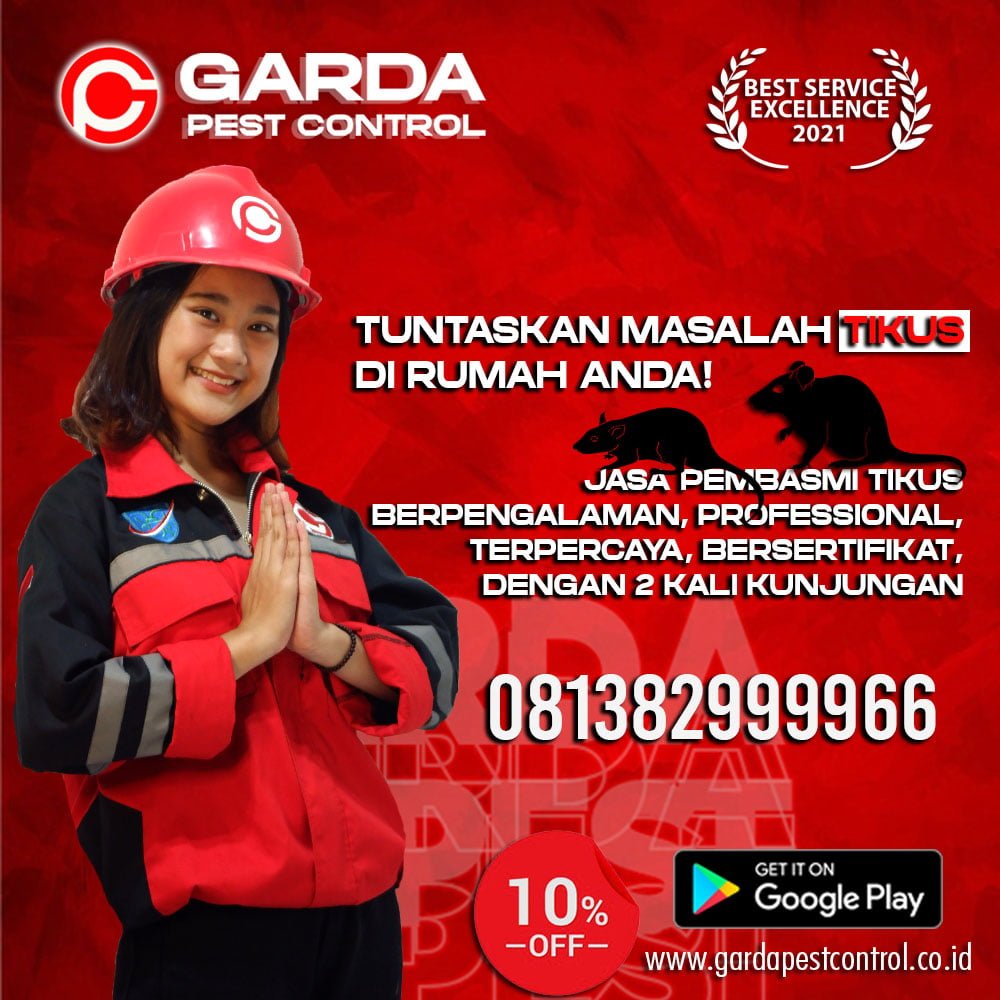Pest Control Tikus Profesional
