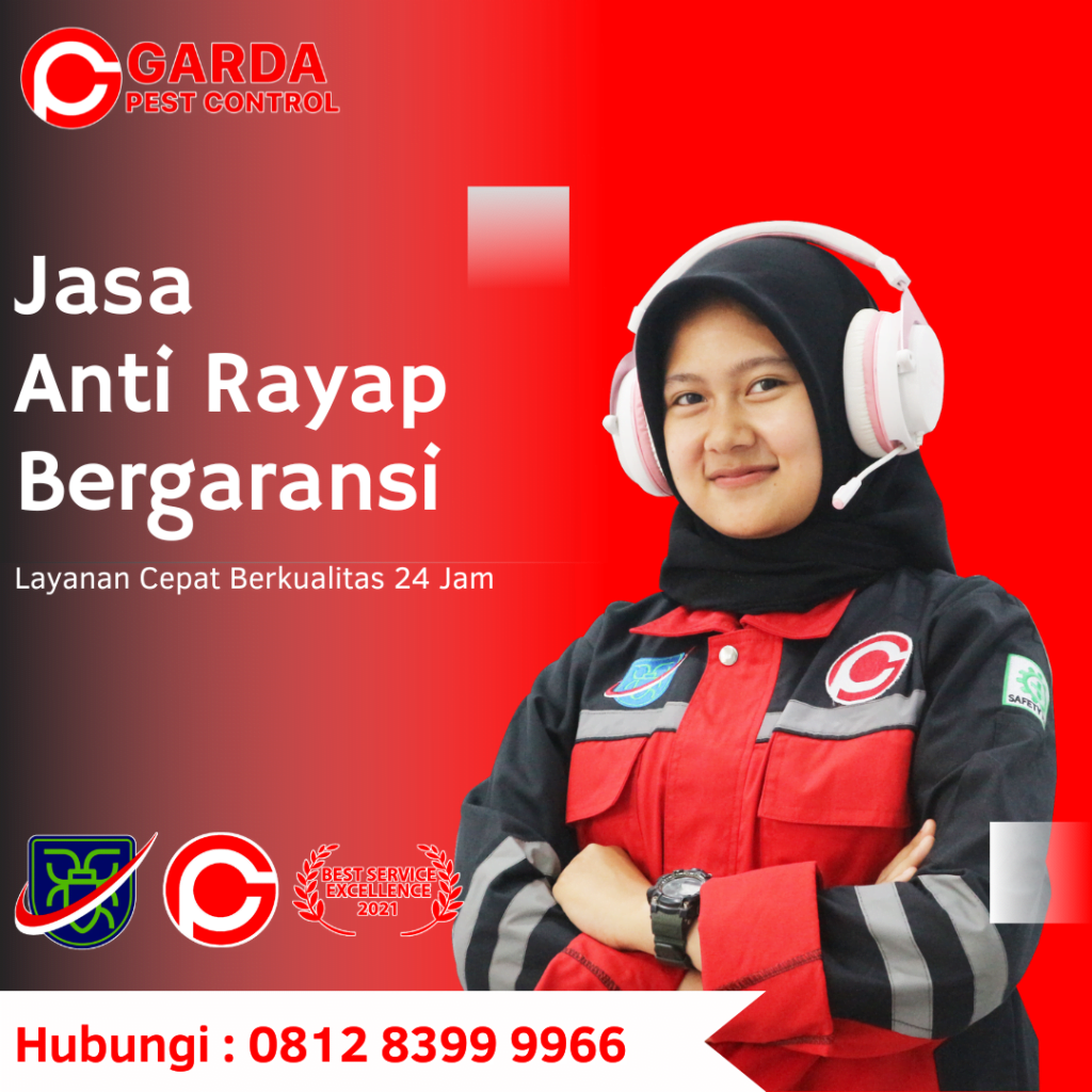 Jasa Anti Rayap Cabang Bali