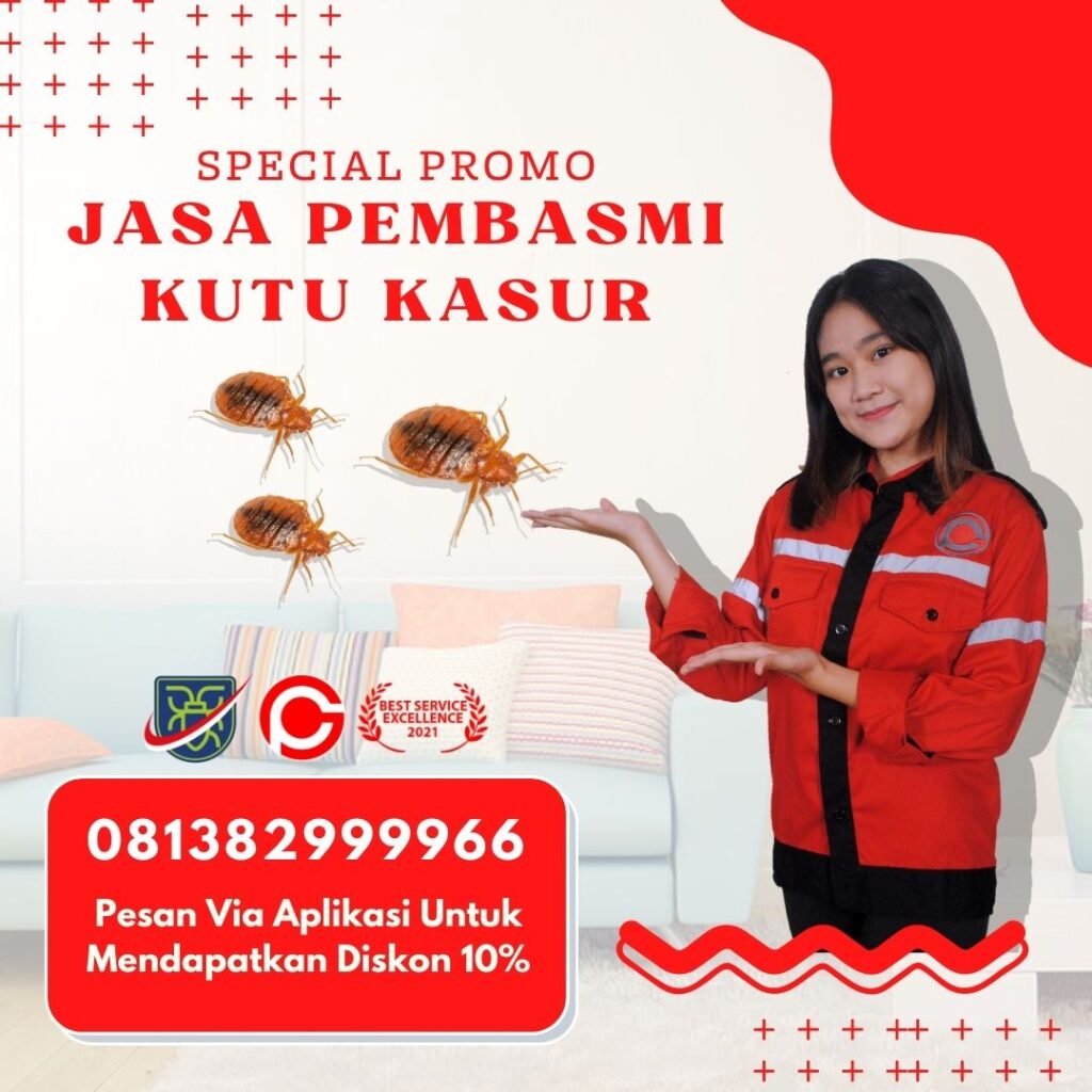 Harga Jasa Pembasmi Kutu Kasur Bekasi