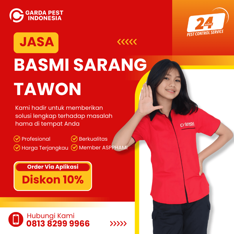 Jasa Pembasmi Sarang Tawon Bandung Jasa Pembasmi Sarang Tawon di Solo