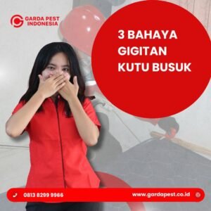 Jasa Pembasmi Kutu Busuk Bandung