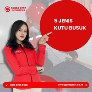 Jasa Pembasmi Kutu Busuk Bandung