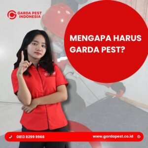 Jasa Pembasmi Kutu Busuk Bandung