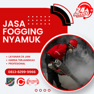 Jasa Fogging Nyamuk DBD di Cianjur
