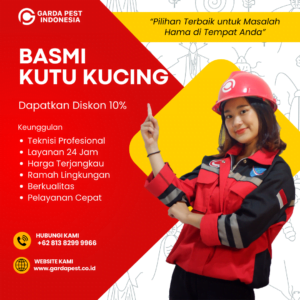 Jasa Fogging Kutu Kucing Jogja