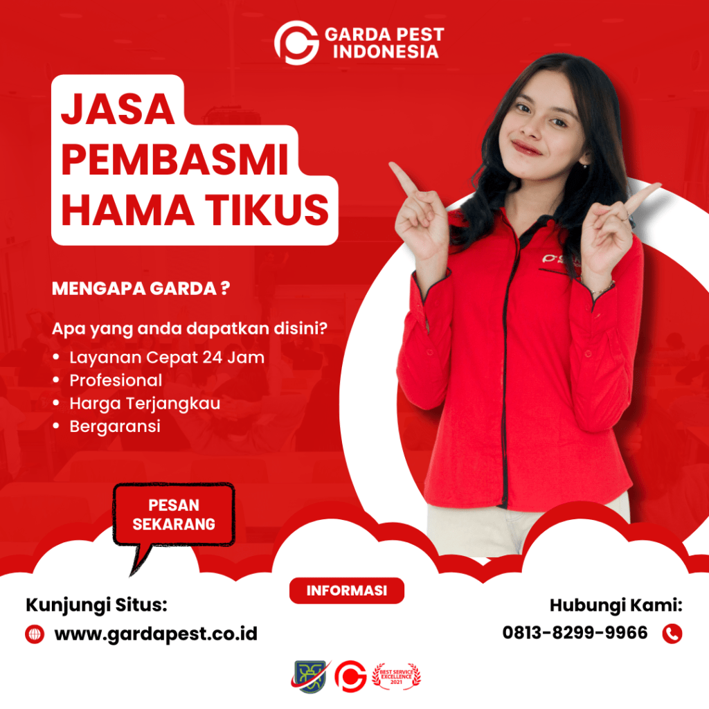 Jasa Pembasmi Hama Tikus Bandung