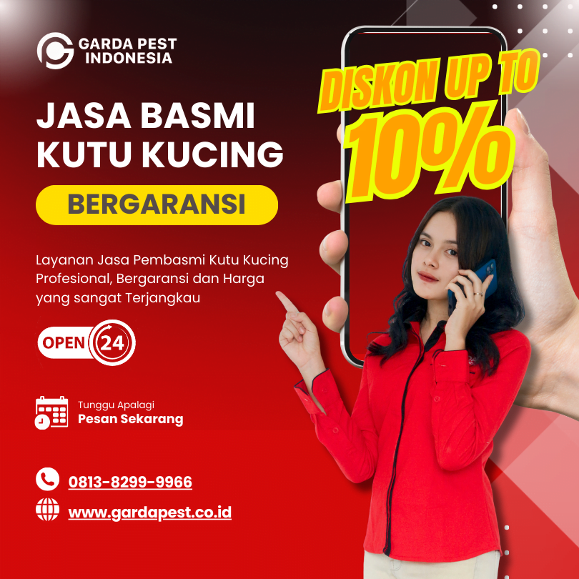 Jasa Pembasmi Kutu Kucing di Kota Yogyakarta