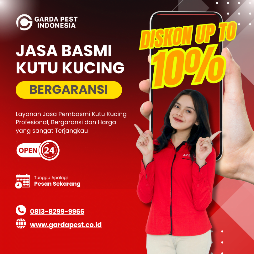 Jasa Pembasmi Kutu Kucing di Kota Yogyakarta