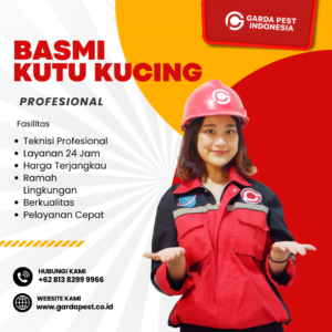 Jasa Fogging Kutu Kucing Jogja