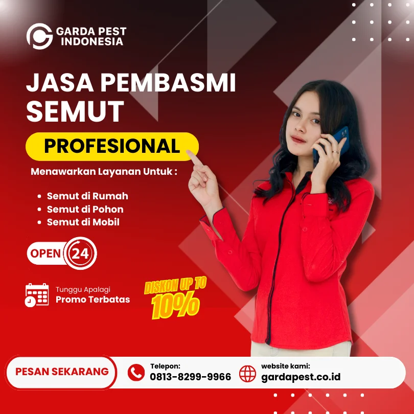 Jasa Pembasmi Semut di Mobil Bandung