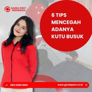Jasa Pembasmi Kutu Busuk Bandung