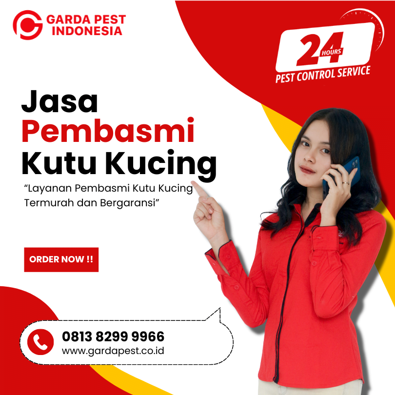 Jasa Pembasmi Kutu Kucing Batam