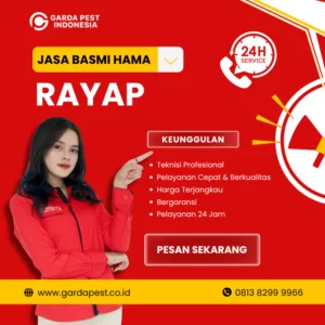 Jasa Anti Rayap di Gajahmungkur Semarang