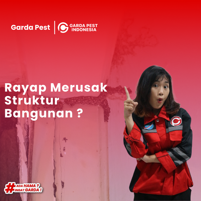 Masalah Rayap Merusak Struktur Bangunan