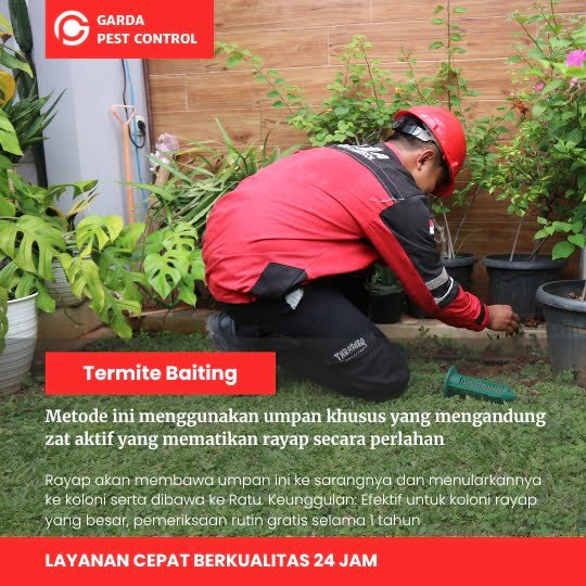 Jasa Anti Rayap Jakarta Barat: Solusi Tepat Bebas Rayap