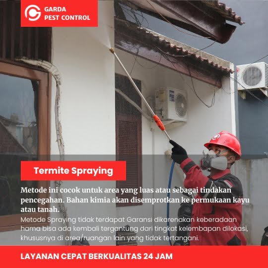 Jasa Anti Rayap Jakarta Barat: Solusi Tepat Bebas Rayap