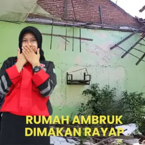 Jasa Pembasmi Rayap Karawang Garda Pest Control