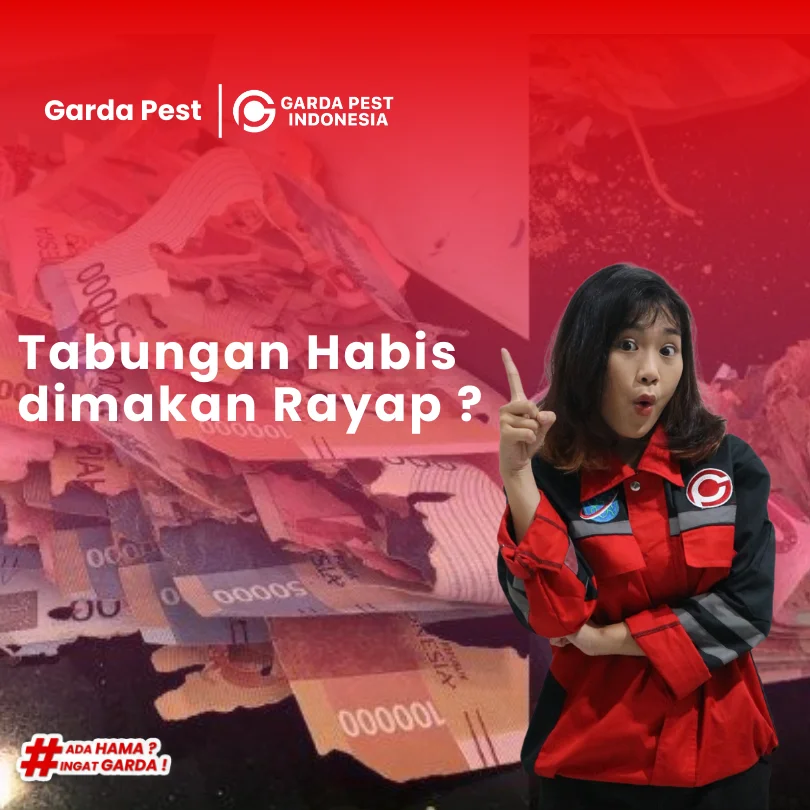 Hubungi Jasa Pembasmi Rayap Yogyakarta Agar Uang Aman