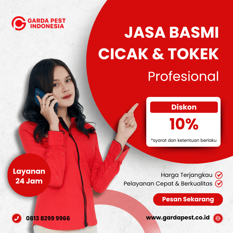 Jasa Pembasmi Cicak Bandung
