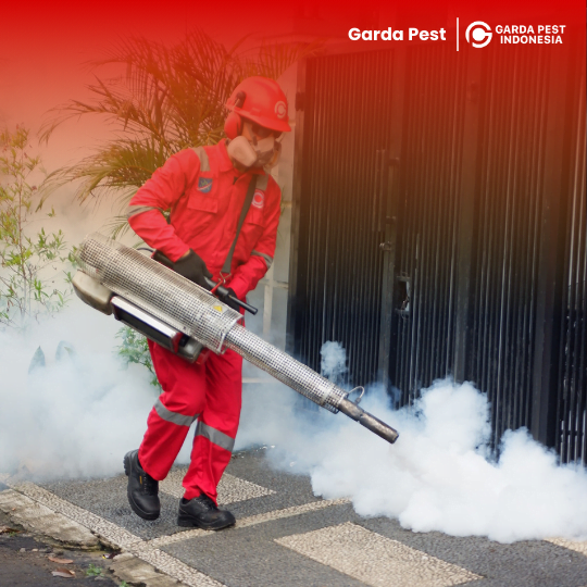 Treatment Fogging Nyamuk