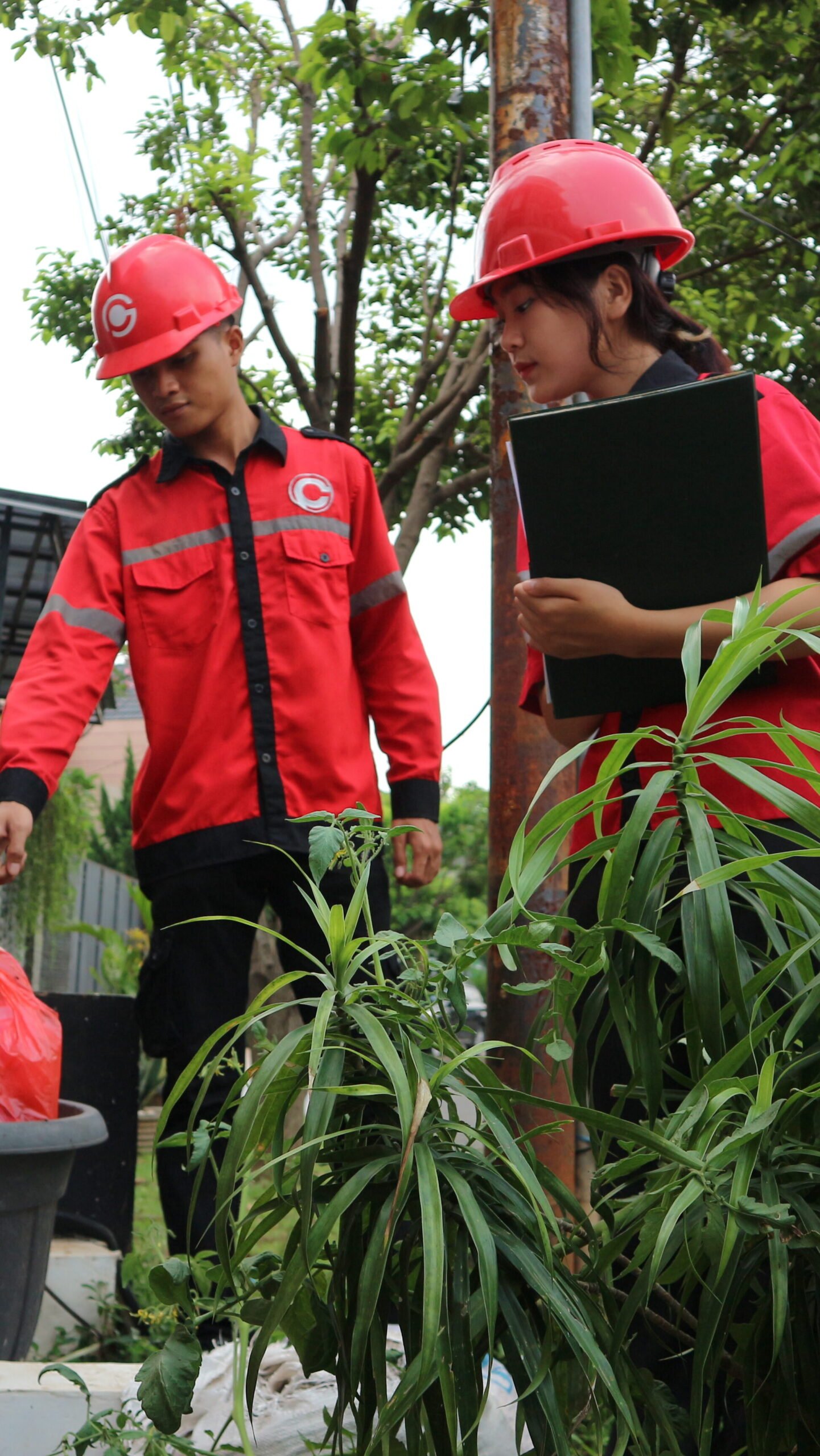 Survey Gratis Pest Control di Surabaya