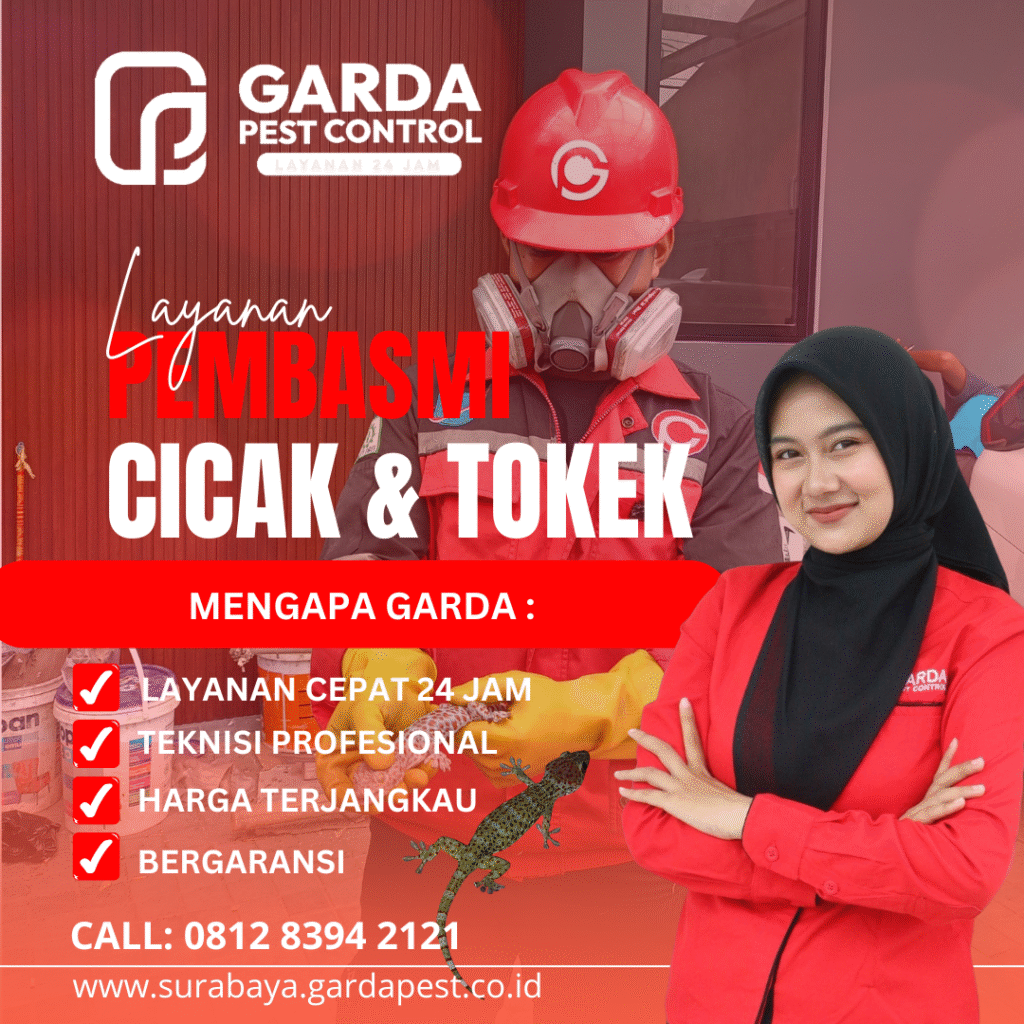 Jasa Pembasmi Hama Tokek di Bali Layanan Cepat Berkualitas