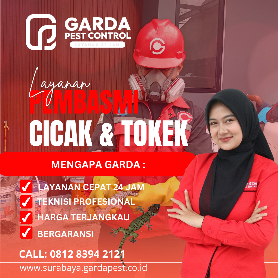 Jasa Pembasmi Hama Tokek di Bali Layanan Cepat Berkualitas