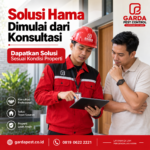 Cara Membasmi Semut Merah Kecil di Rumah