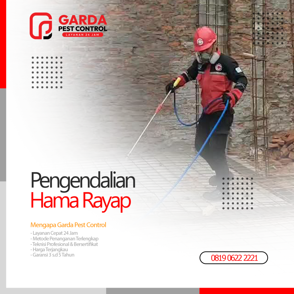 Jasa Anti Rayap Terbaik & Terkemuka di Bali