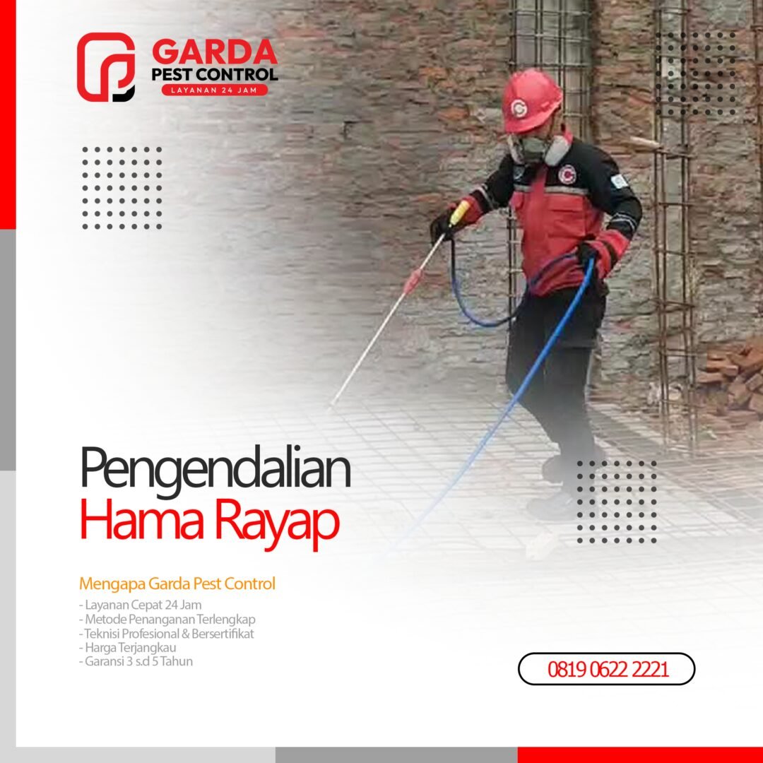 Jasa Anti Rayap Terbaik & Terkemuka di Bali