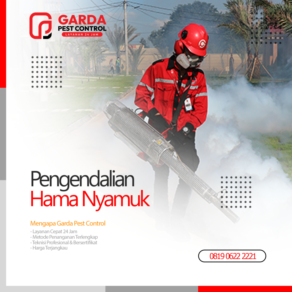 Jasa Fogging Spesialis Nyamuk DBD di Bali