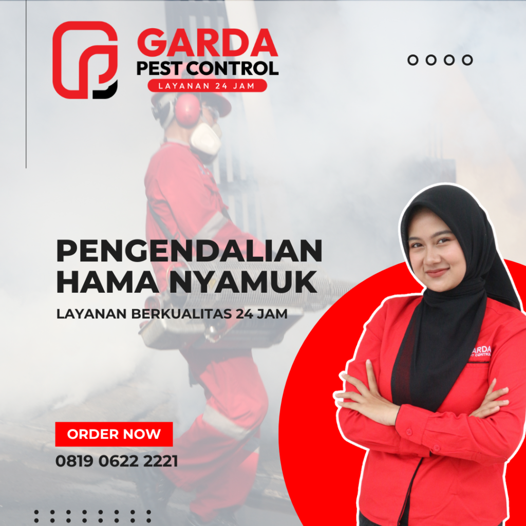Jasa Fogging Spesialis Nyamuk DBD di Bali