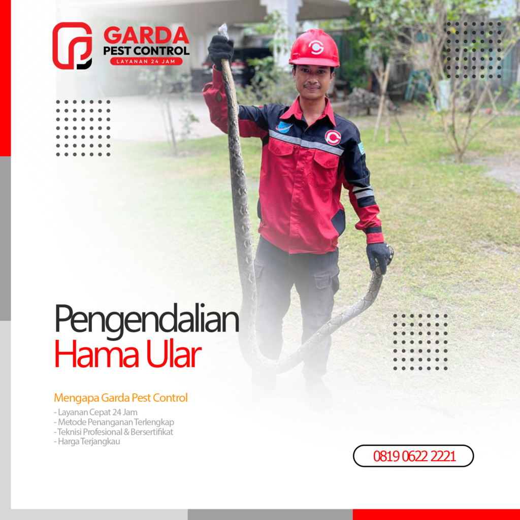 Jasa Pembasmi Ular di Bali Pawang Ular Pest Control