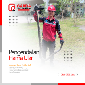 Jasa Pawang Ular Terdekat Pembasmi Ular Profesional di Bali