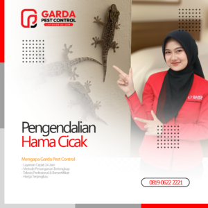 Jasa Pembasmi Cicak Terdekat di Bali Harga Murah