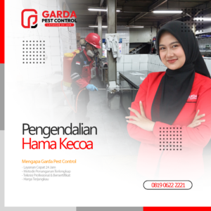 Jasa Pembasmi Kecoa Terdekat & Terbaik di Bali