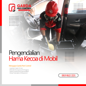 Jasa Pembasmi Kecoa di Mobil Terdekat di Bali