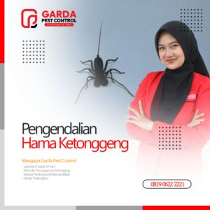 Jasa Pembasmi Ketonggeng Terdekat di Bali Garda Pest Control
