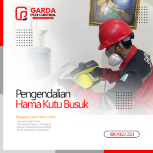 Jasa Pembasmi Kutu Kasur Terdekat & Terbaik di Bali