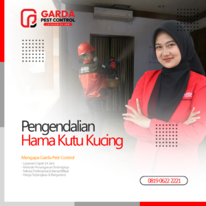 Jasa Pembasmi Kutu Kucing Terdekat di Bali Bergaransi